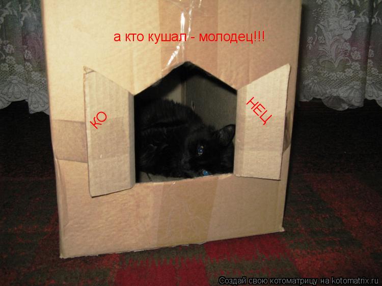 Котоматрица: КО КО НЕЦ а кто кушал - молодец!!!