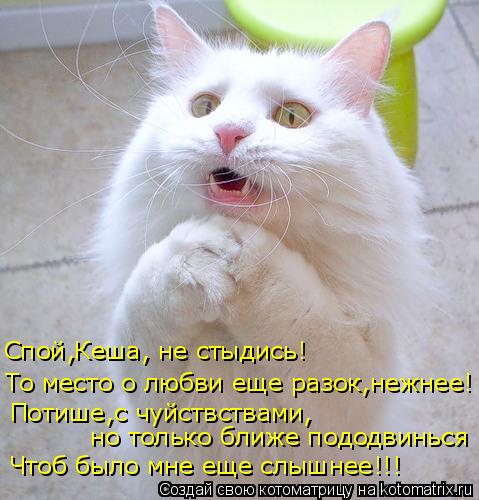 То место о любви еще разок,нежнее! Потише,с чуйствствами, но только ближе пододвинься Спой,Кеша, не с... Котоматрица: То место о любви еще разок,нежнее! Потише,с чуйствствами, но только ближе пододвинься Спой,Кеша, не стыдись! Чтоб было мне еще слышнее!!!