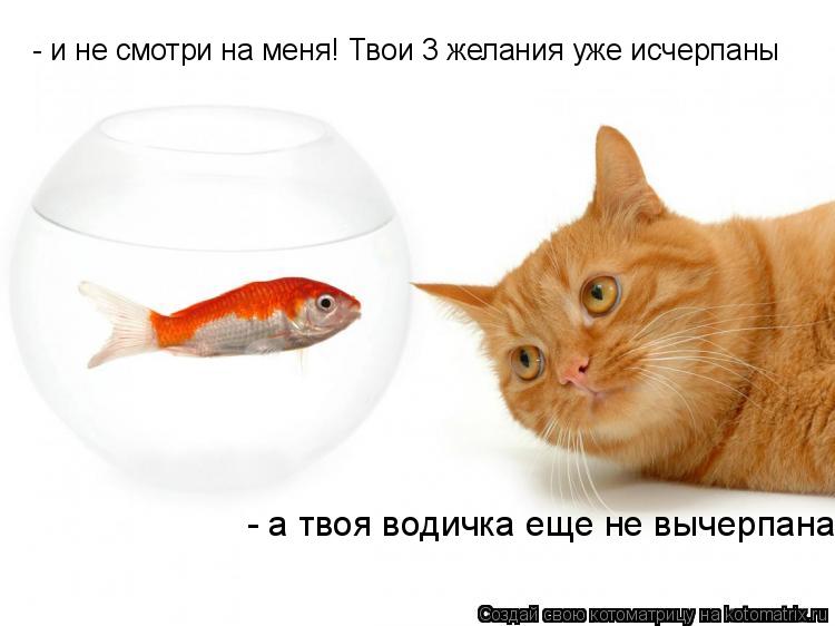Котоматрица: - и не смотри на меня! Твои 3 желания уже исчерпаны - а твоя водичка еще не вычерпана
