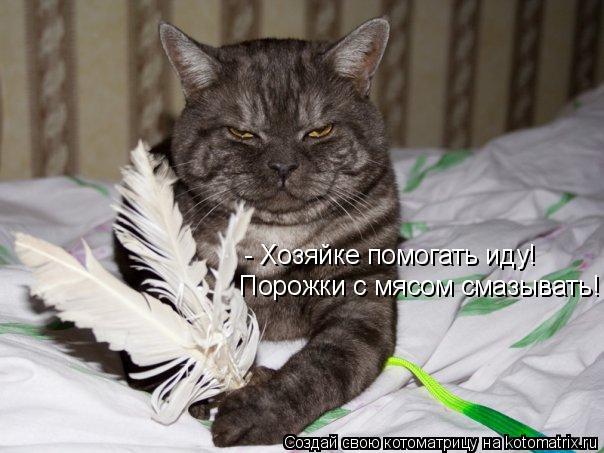 Котоматрица: - Хозяйке помогать иду! Порожки с мясом смазывать!