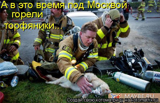 Котоматрица: А в это время под Москвой горели торфяники...