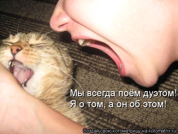 Котоматрица: Мы всегда поём дуэтом! Я о том, а он об этом!