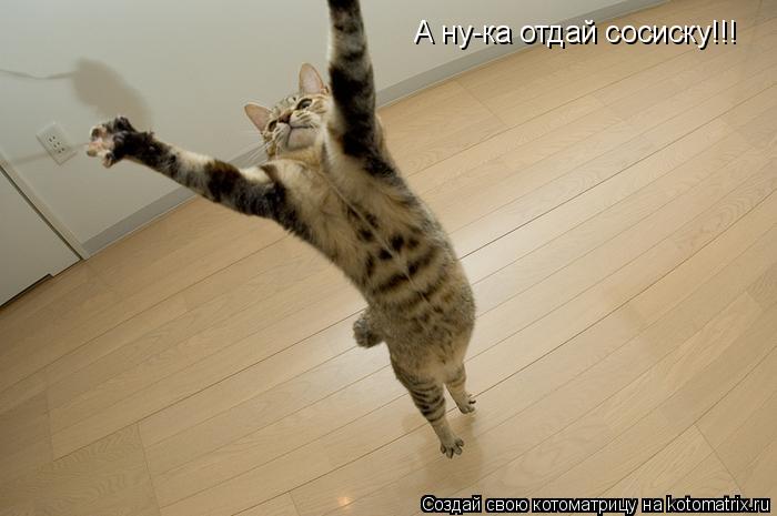 Котоматрица: А ну-ка отдай сосиску!!!