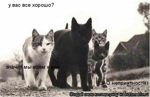 Котоматрица: у вас все хорошо? значит мы идем к вам  (ЗАО неприятности)