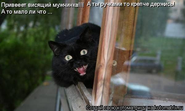 Котоматрица: Привееет висящий мужчинка!!!  А ты ручками то крепче держись! А то мало ли что ...