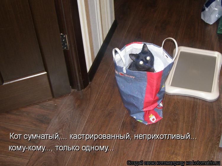 Котоматрица: Кот сумчатый,... кастрированный, неприхотливый... кому-кому..., только одному...
