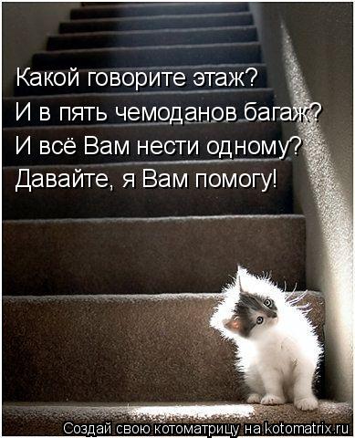 Какой говорите этаж? И в пять чемоданов багаж? И всё Вам нести одному? Давайте, я Вам помогу!... Котоматрица: Какой говорите этаж? И в пять чемоданов багаж? И всё Вам нести одному? Давайте, я Вам помогу!