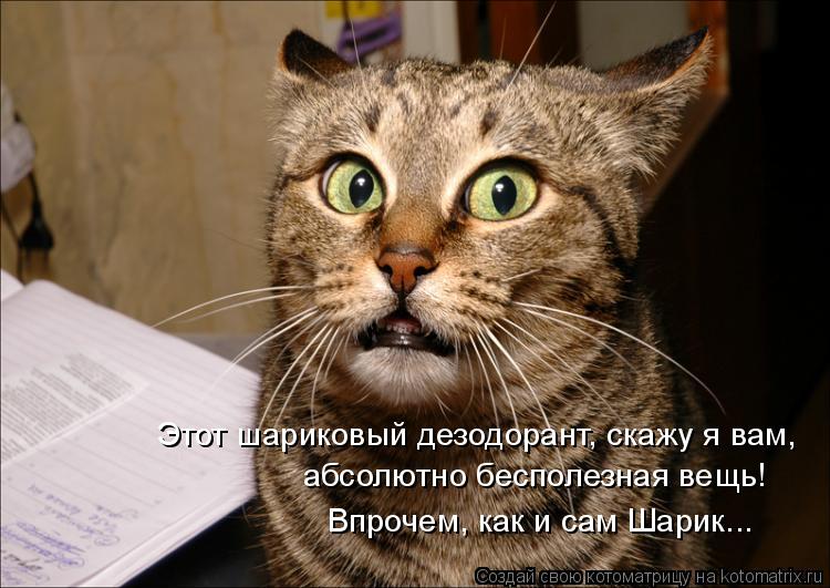 Котоматрица: Этот шариковый дезодорант, скажу я вам,  абсолютно бесполезная вещь!  Впрочем, как и сам Шарик...