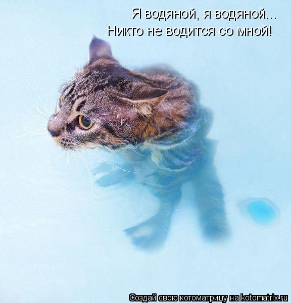 Котоматрица: Я водяной, я водяной... Никто не водится со мной!