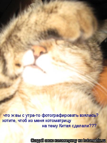 Котоматрица: что ж вы с утра-то фотографировать взялись? хотите, чтоб из меня котоматрицу  на тему Китая сделали???