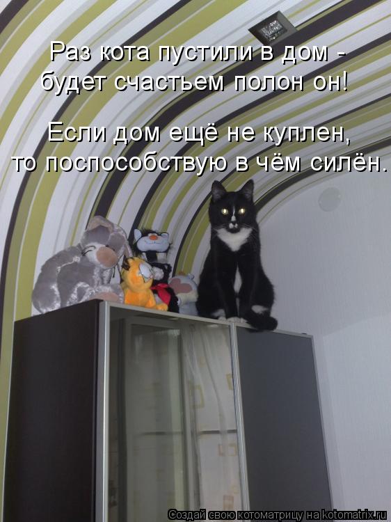 Котоматрица: Раз кота пустили в дом - будет счастьем полон он! Если дом ещё не куплен, то поспособствую в чём силён.