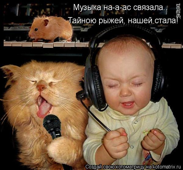 Котоматрица: Музыка на-а-ас связала.. Тайною рыжей, нашей стала!