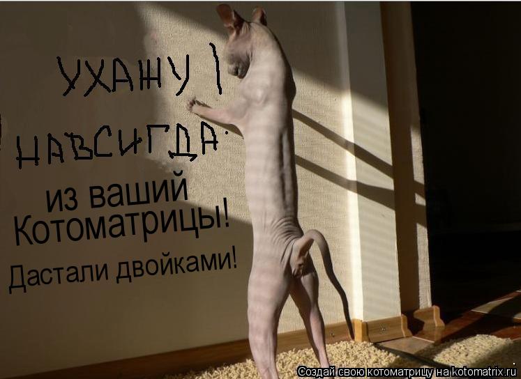 Котоматрица: Котоматрицы! Дастали двойками! из ваший