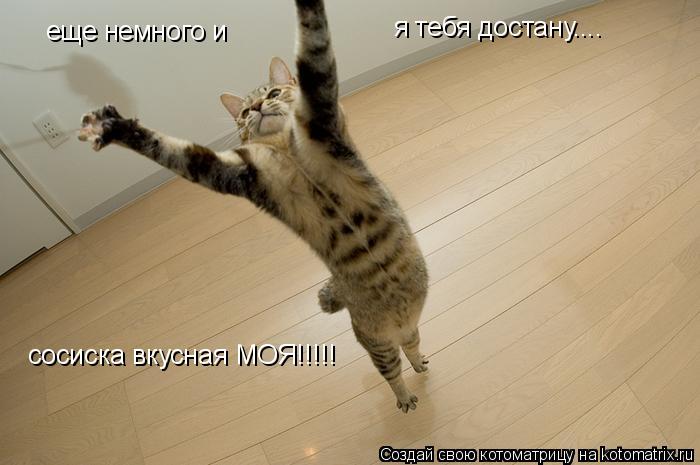 Котоматрица: еще немного и  я тебя достану.... сосиска вкусная МОЯ!!!!!