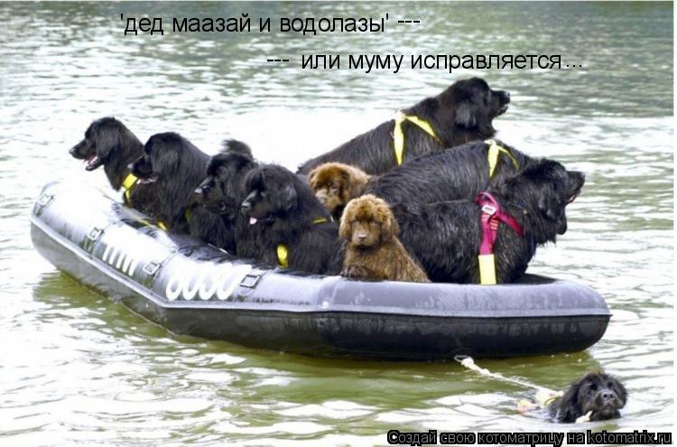Котоматрица: 'дед маазай и водолазы'  или муму исправляется --- --- ...