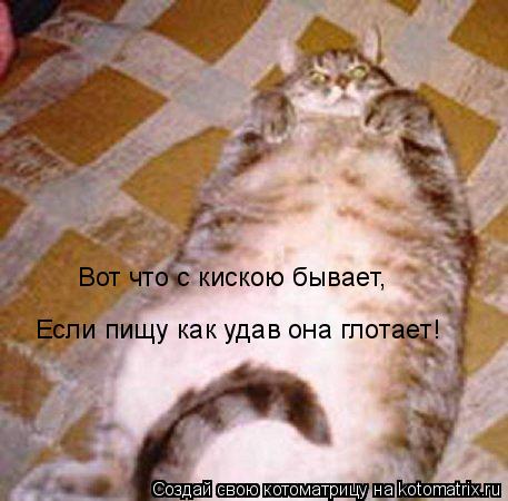 Если пищу как удав она глотает! Вот что с кискою бывает,... Котоматрица: Если пищу как удав она глотает! Вот что с кискою бывает,