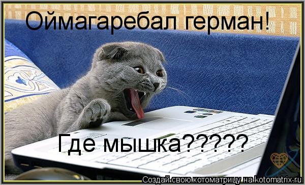 Котоматрица: Оймагаребал герман! Где мышка?????