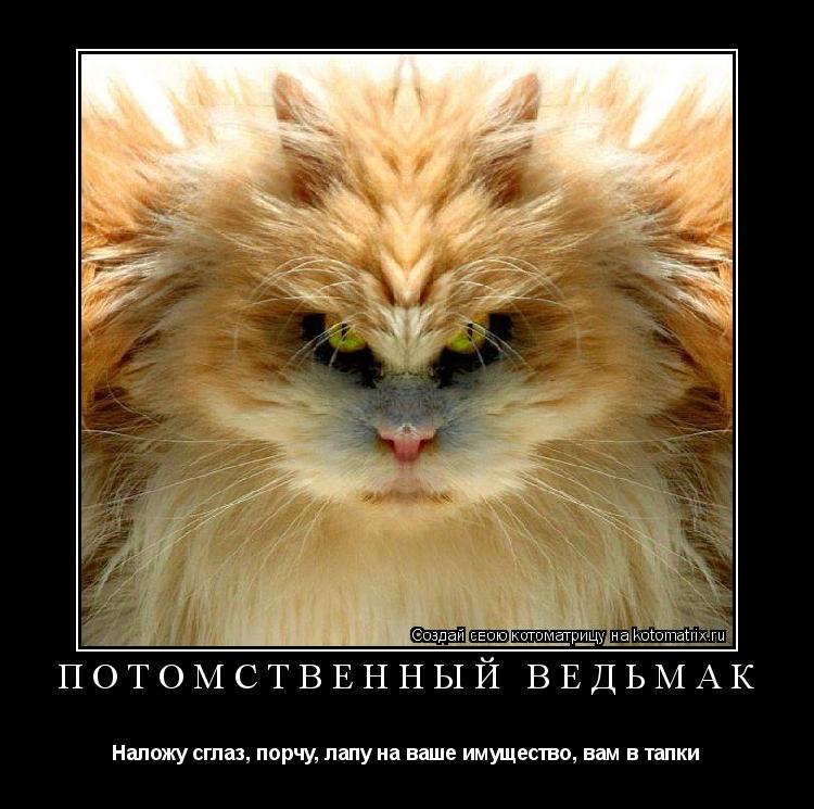 Потомственный ведьмак Наложу сглаз, порчу, лапу на ваше имущество, вам в тапки... Котоматрица: Потомственный ведьмак Наложу сглаз, порчу, лапу на ваше имущество, вам в тапки