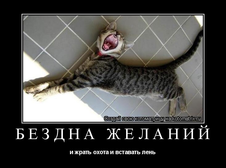 Котоматрица: бездна желаний и жрать охота и вставать лень