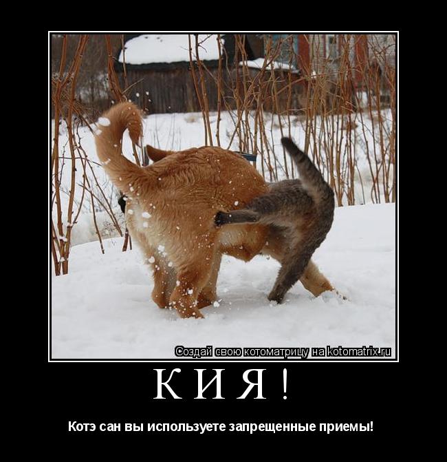 Кия! Котэ сан вы используете запрещенные приемы! ... Котоматрица: Кия! Котэ сан вы используете запрещенные приемы!