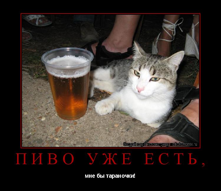 Котоматрица: Пиво уже есть,  мне бы тараночки!