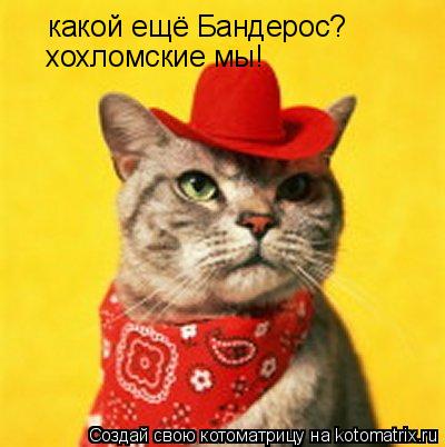 Котоматрица: какой ещё Бандерос? хохломские мы!