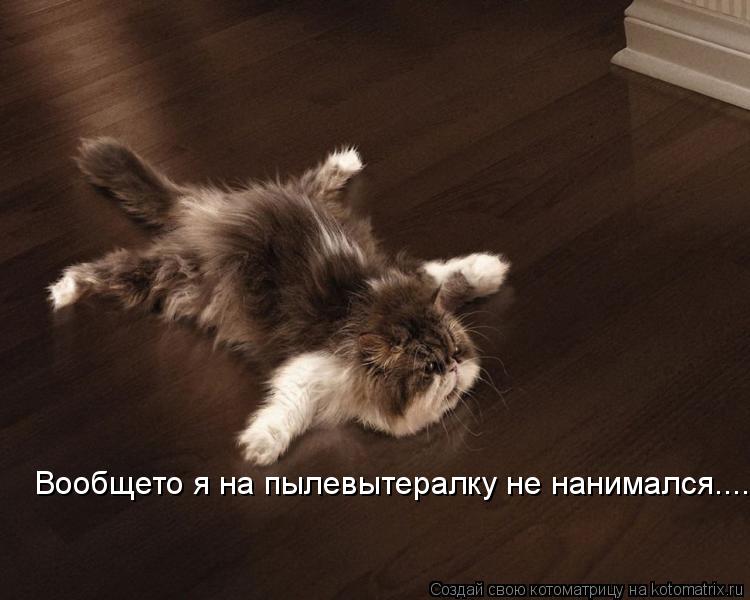 Котоматрица: Вообщето я на пылевытералку не нанимался.....