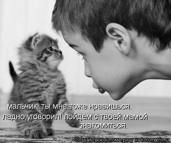 Котоматрица: мальчик, ты мне тоже нравишься. знакомиться. ладно,уговорил! пойдём с твоей мамой