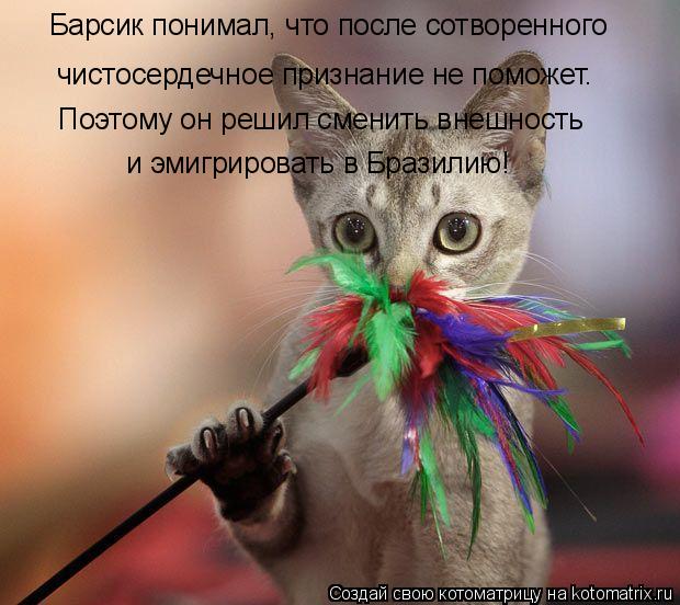 Котоматрица: Барсик понимал, что после сотворенного чистосердечное признание не поможет. Поэтому он решил сменить внешность  и эмигрировать в Бразилию!