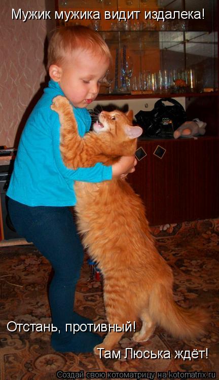 Котоматрица: Мужик мужика видит издалека! Отстань, противный! Там Люська ждёт!