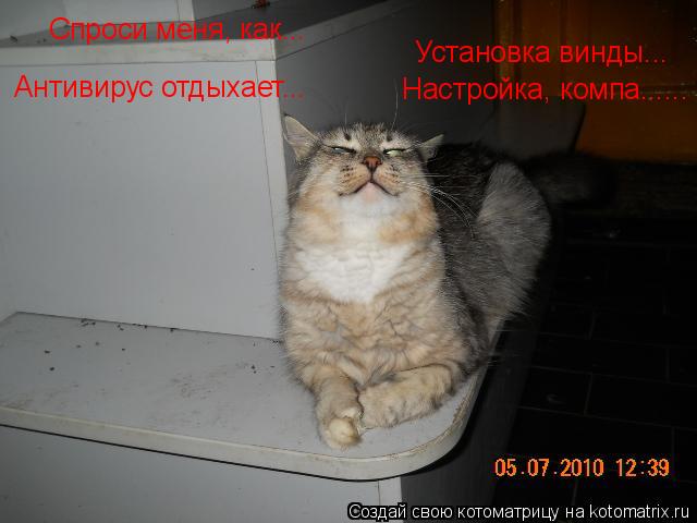 Котоматрица: Спроси меня, как... Установка винды... Настройка, компа...... Антивирус отдыхает...