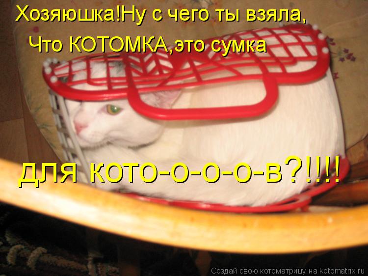 Котоматрица: Хозяюшка!Ну с чего ты взяла, Что КОТОМКА,это сумка для кото-о-о-о-в?!!!!