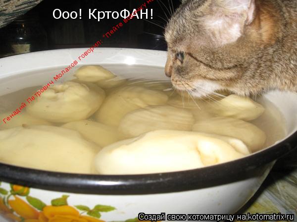 Котоматрица: Ооо! КртоФАН! Генадий Петрович Молахов говорил: "Пейте водичку настоенную на картофане"