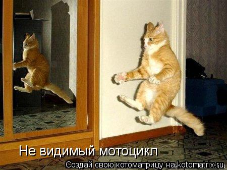 Котоматрица: Не видимый мотоцикл