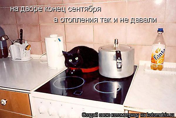 Котоматрица: на дворе конец сентября а отопления так и не давали