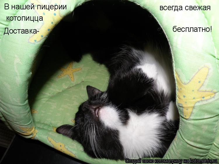 Котоматрица: В нашей пицерии всегда свежая котопицца Доставка- бесплатно!