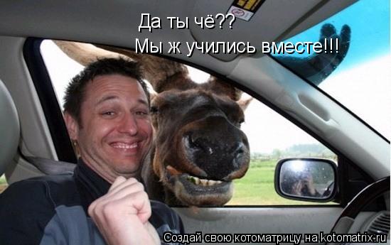 Котоматрица: Да ты чё?? Мы ж учились вместе!!!
