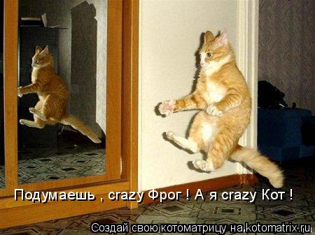 Котоматрица: Подумаешь , crazy Фрог ! А я crazy Кот !