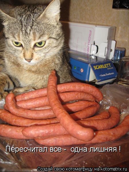 Котоматрица: Пересчитал все -  одна лишняя !