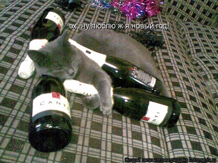 Котоматрица: эх, ну люблю ж я новый год!