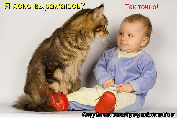 Котоматрица: Я ясно выражаюсь? Так точно!