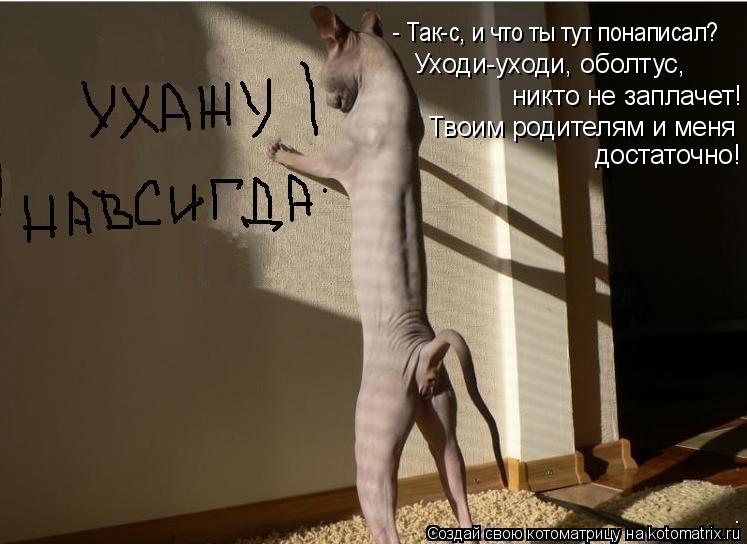 Котоматрица: - Так-с, и что ты тут понаписал? Уходи-уходи, оболтус, никто не заплачет! Твоим родителям и меня достаточно!