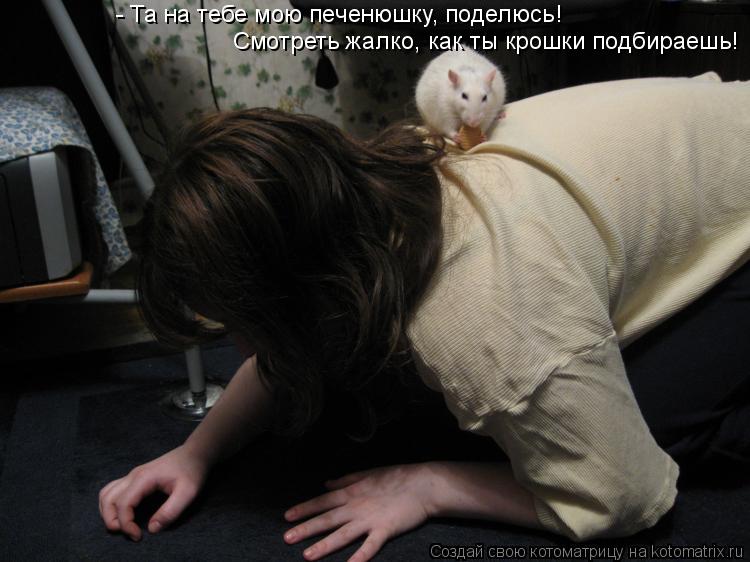 - Та на тебе мою печенюшку, поделюсь! Смотреть жалко, как ты крошки подбираешь!... Котоматрица: - Та на тебе мою печенюшку, поделюсь! Смотреть жалко, как ты крошки подбираешь!