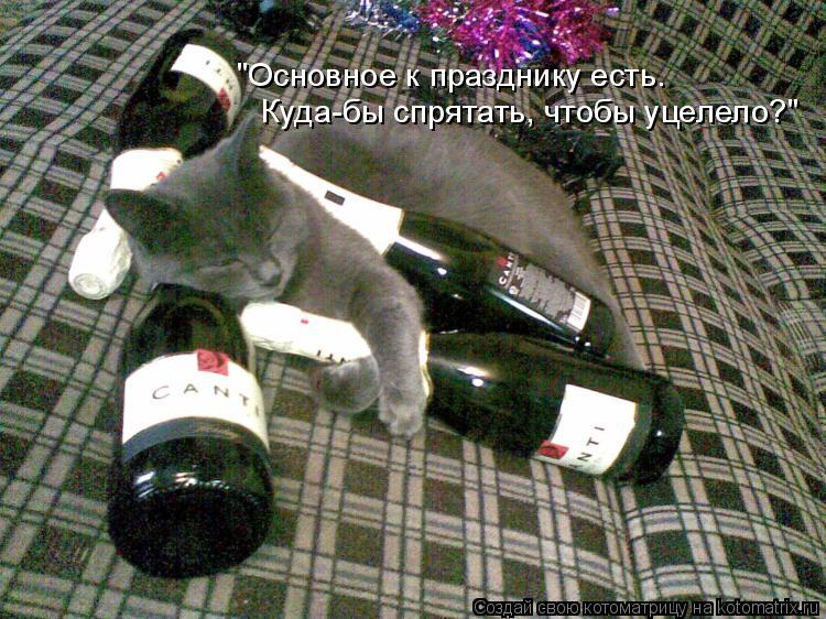 Котоматрица: "Основное к празднику есть. Куда-бы спрятать, чтобы уцелело?"