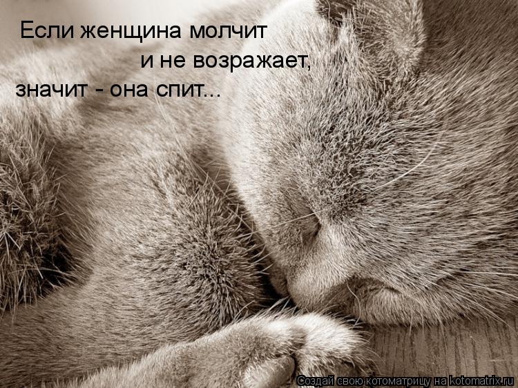 Котоматрица: Если женщина молчит и не возражает, значит - она спит...