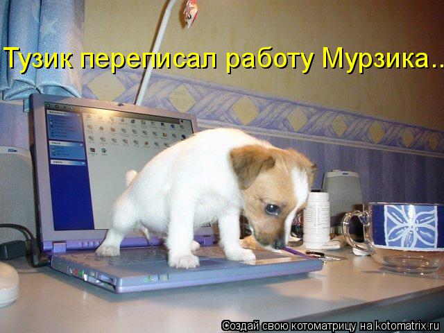 Тузик переписал работу Мурзика...... Котоматрица: Тузик переписал работу Мурзика...
