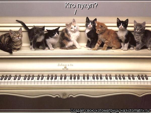 Котоматрица: / Кто пукул?