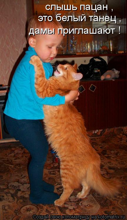 Котоматрица: слышь пацан ,   это белый танец , дамы приглашают !