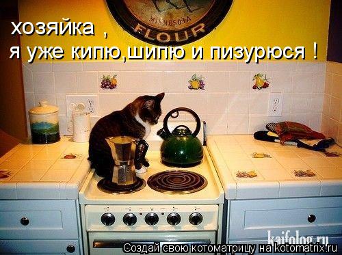 Котоматрица: хозяйка , я уже кипю,шипю и пизурюся !