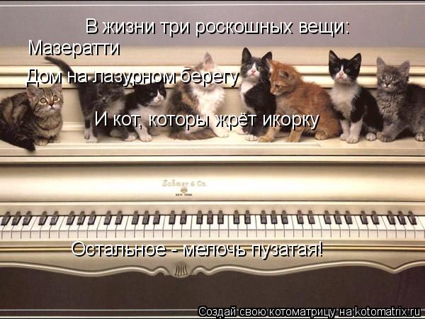 Котоматрица: В жизни три роскошных вещи: Мазератти Дом на лазурном берегу И кот, которы жрёт икорку Остальное - мелочь пузатая!
